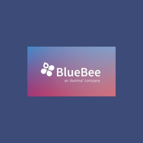 BlueBee-Ilumina