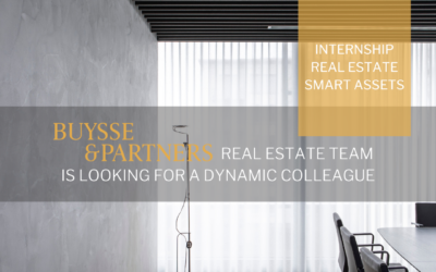 Stageplaats Buysse & Partners Smart Assets